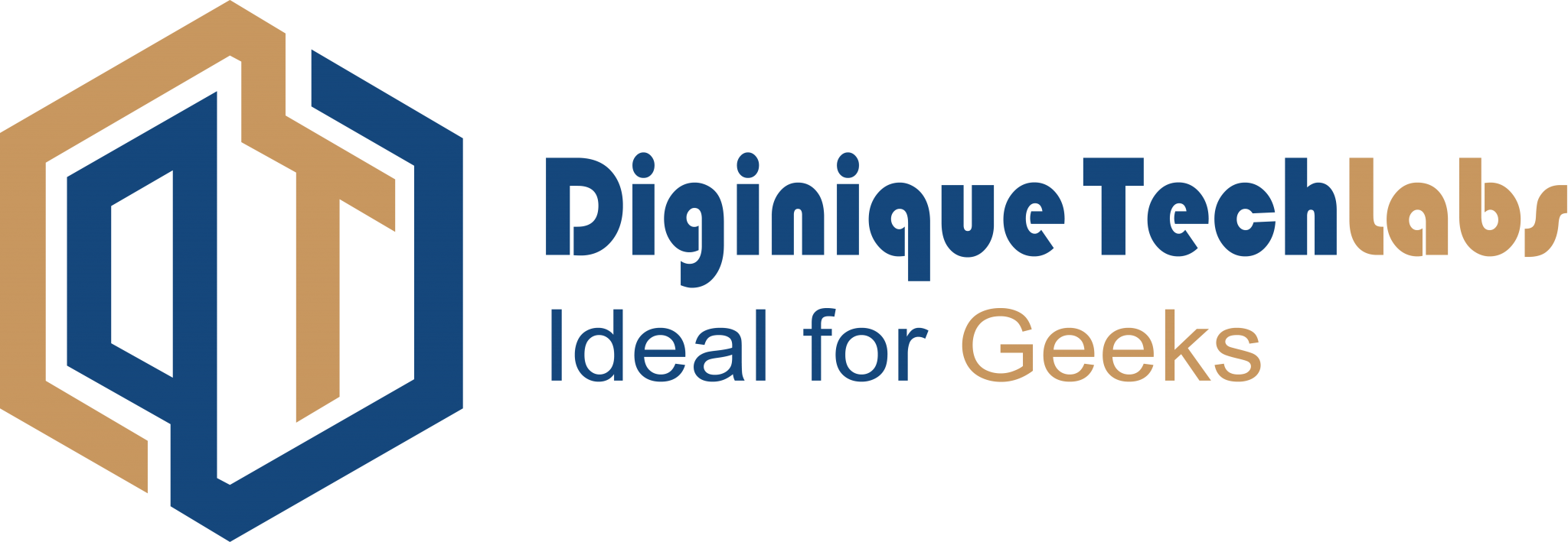 Diginique Techlabs